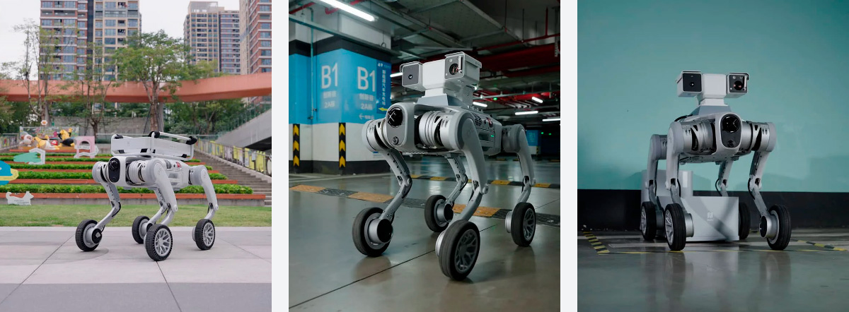 perro-2