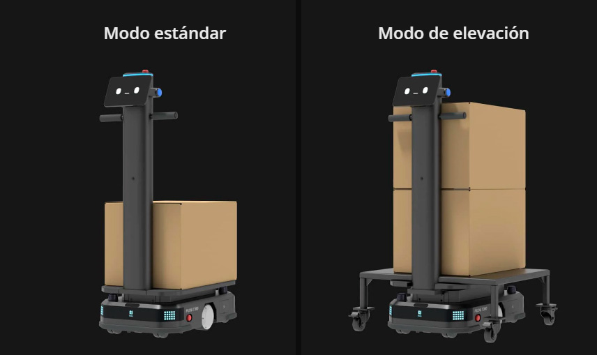 modelos